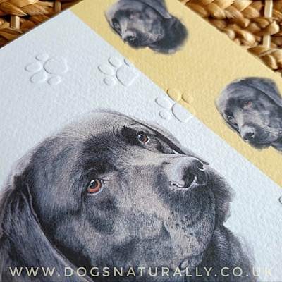 Labrador Dog Card Simply Elegant Range